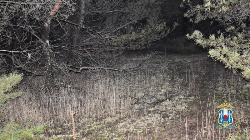Полицейскими Шолоховского района задержан подозреваемый в незаконной охоте на лосей